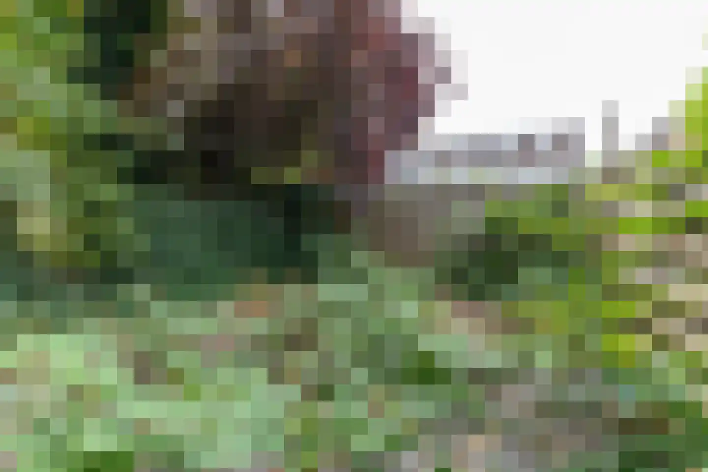 Bergweg 295 A Rotterdam thumbnail 23