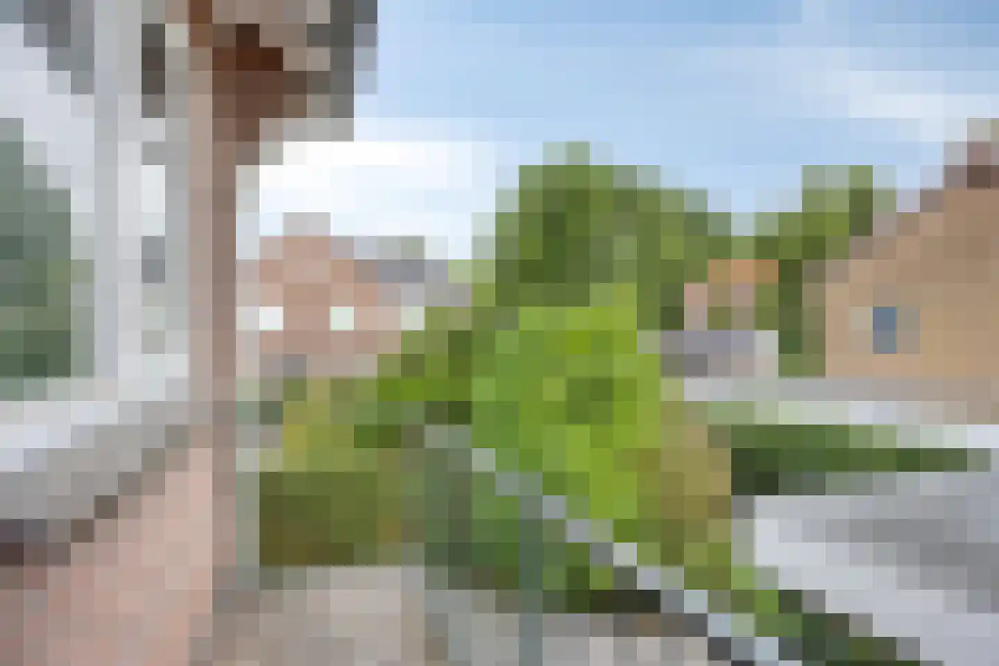 Bergweg 30 Veenendaal thumbnail 25