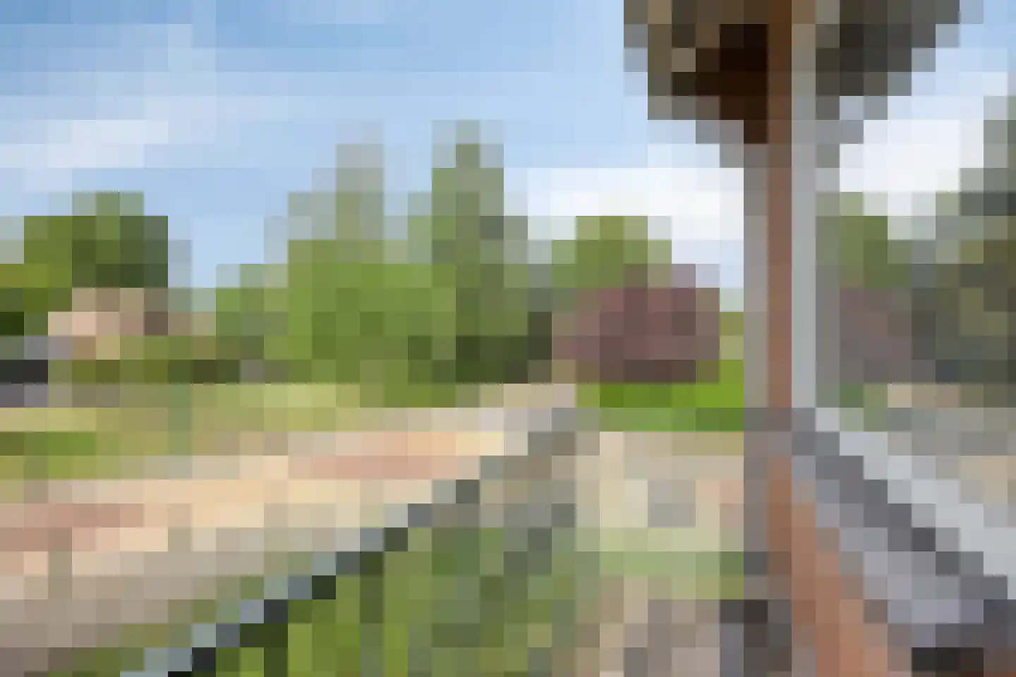 Bergweg 30 Veenendaal thumbnail 31
