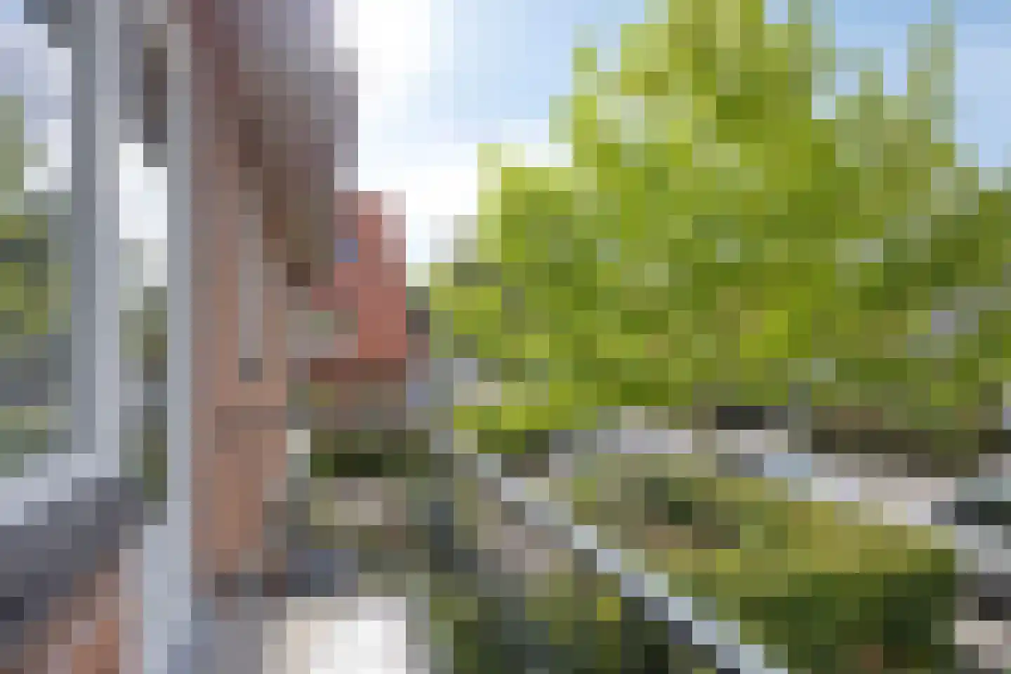 Bergweg 30 Veenendaal thumbnail 32