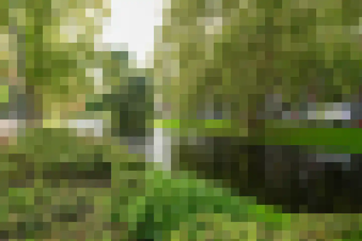 Bergweg 301 B Rotterdam thumbnail 37