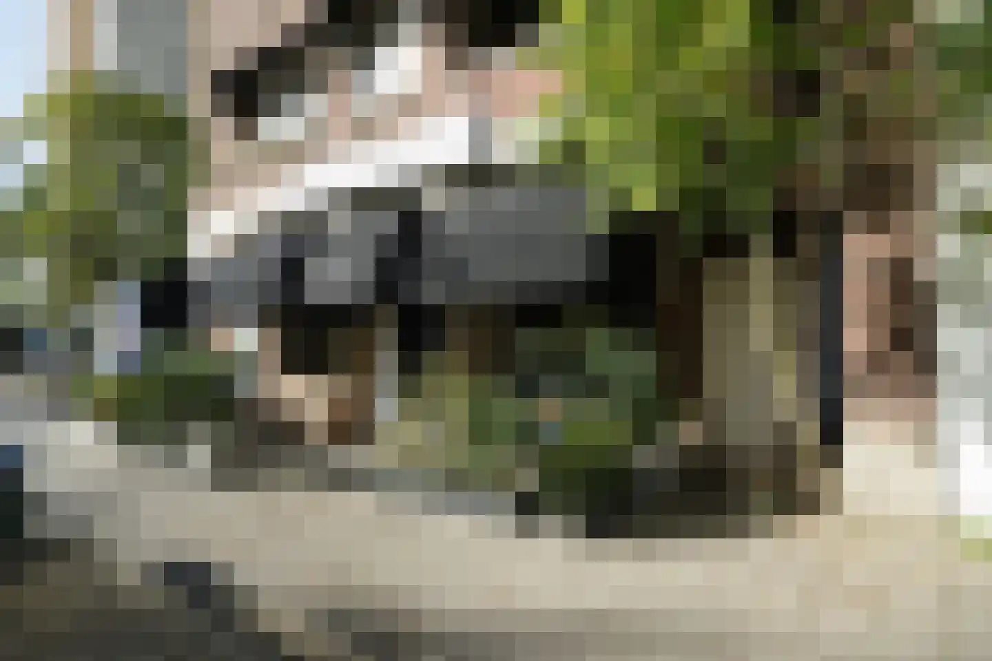 Bergweg 301 B Rotterdam thumbnail 38