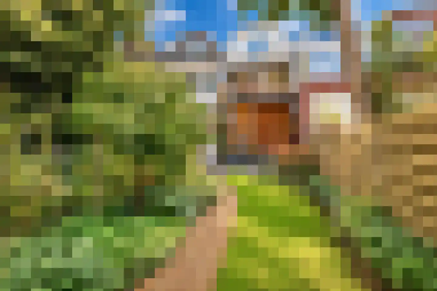 Bergweg 301 B Rotterdam thumbnail 8