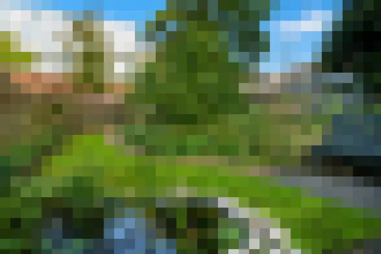 Bergweg 301 B Rotterdam thumbnail 9