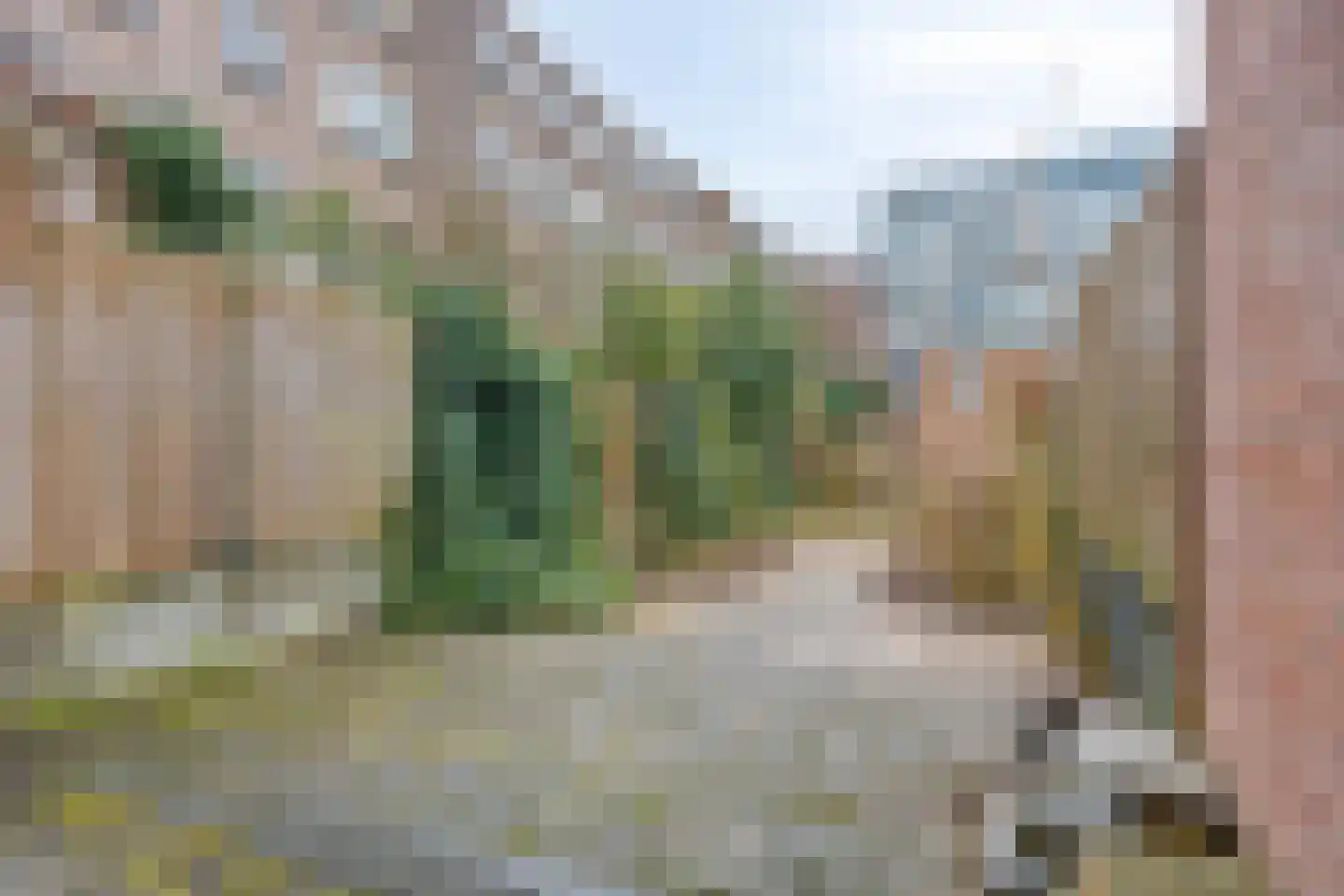 Bergweg 309 A Rotterdam thumbnail 5
