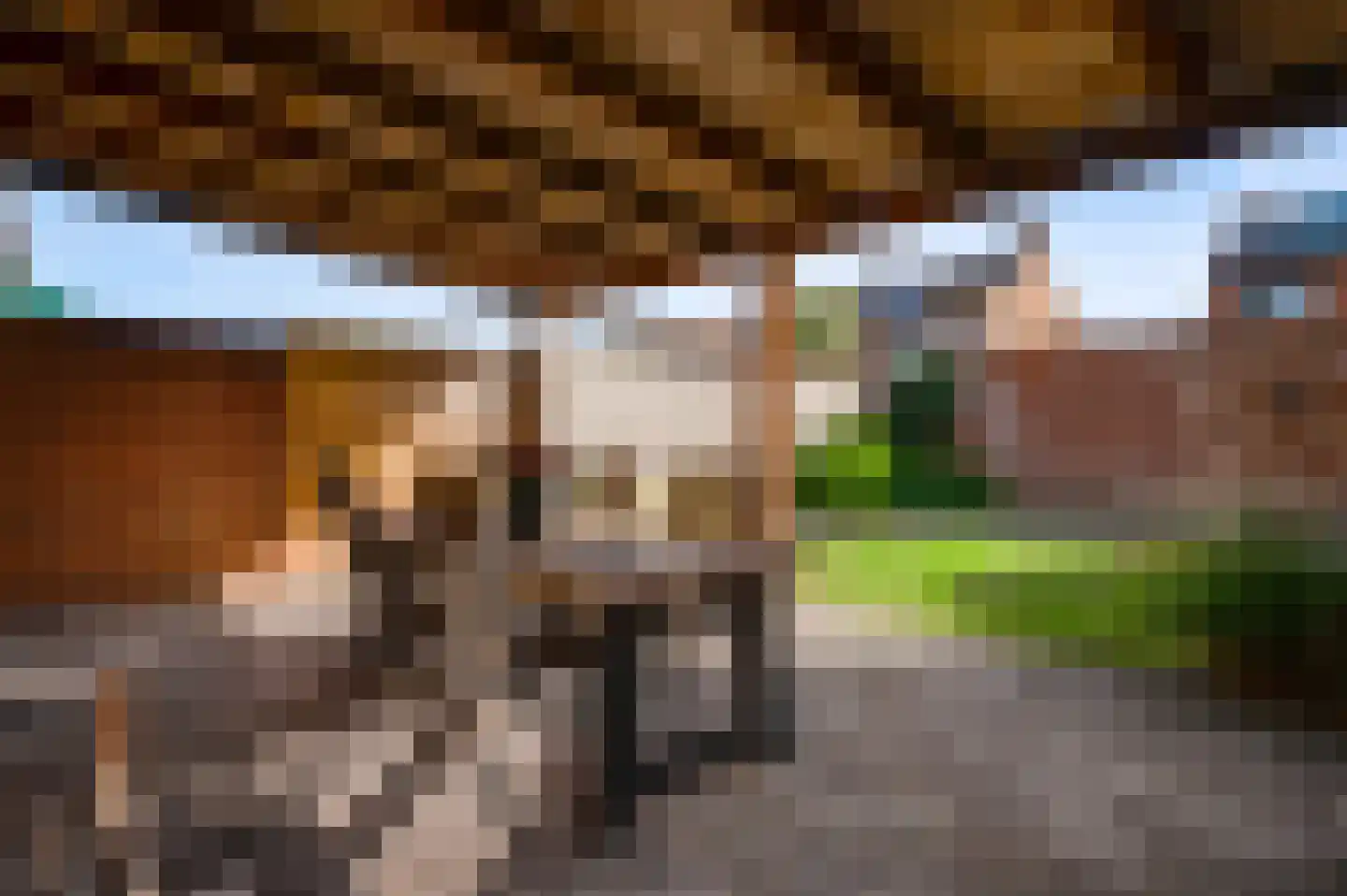 Bergweg 31 Sint Odiliënberg thumbnail 24