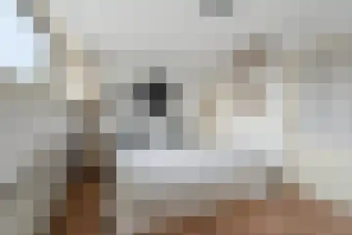 Bergweg 32 Velp thumbnail 23