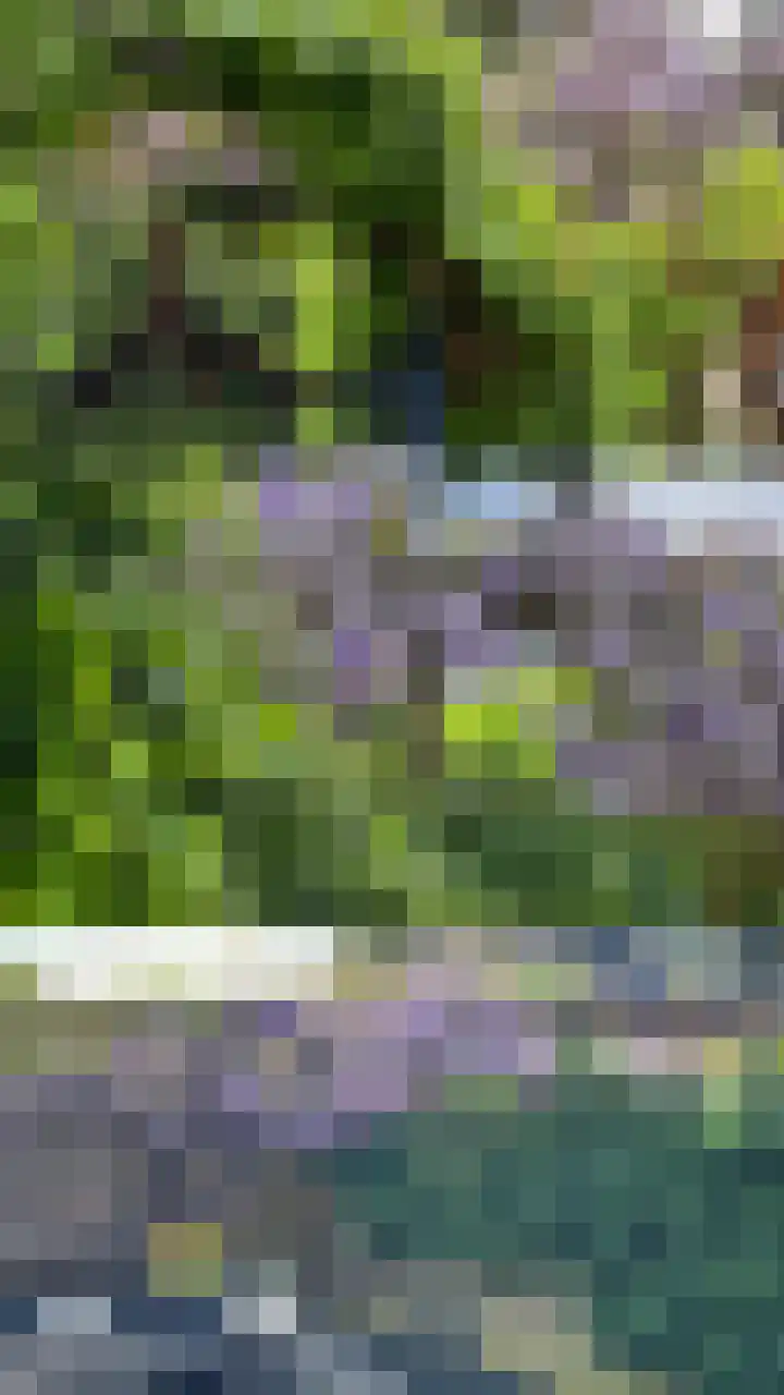 Bergweg 32 Velp thumbnail 34