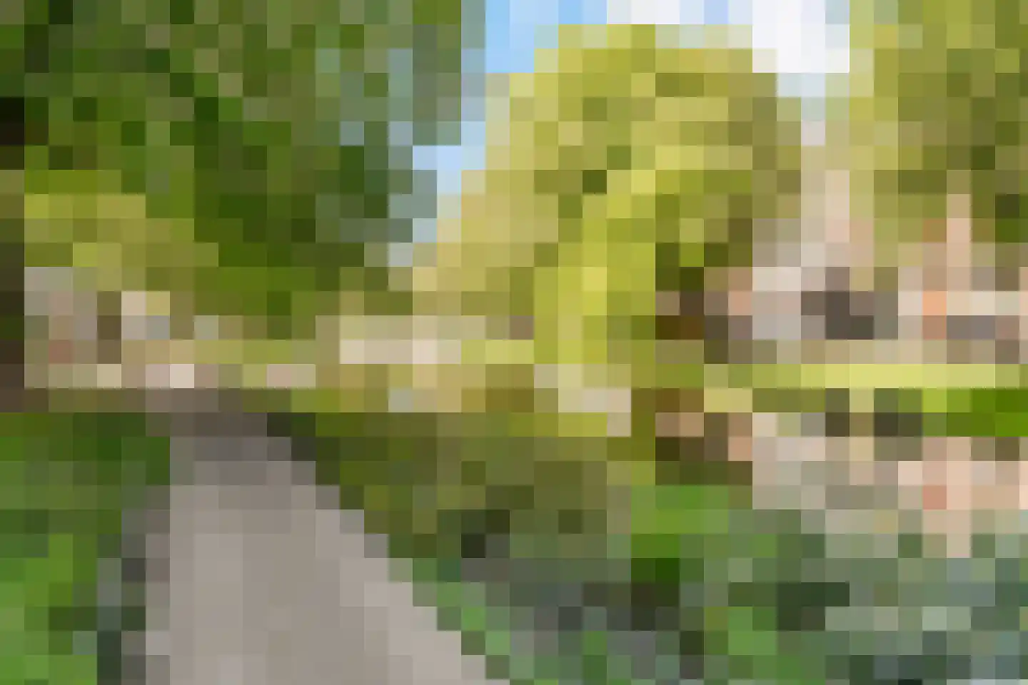 Bergweg 330 C Rotterdam thumbnail 26