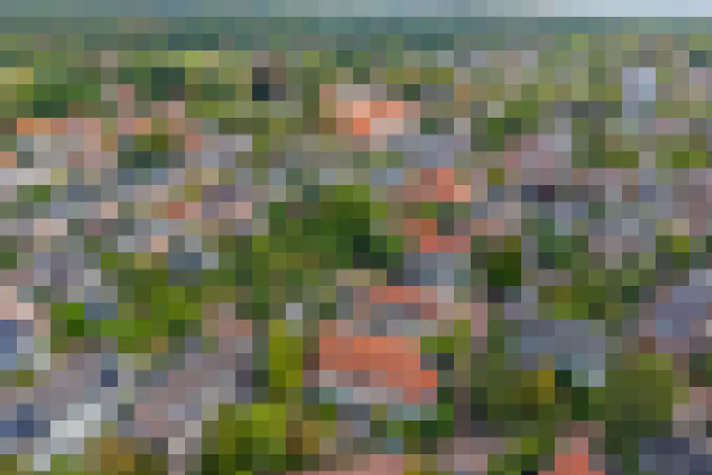 Bergweg 34 Velp thumbnail 39