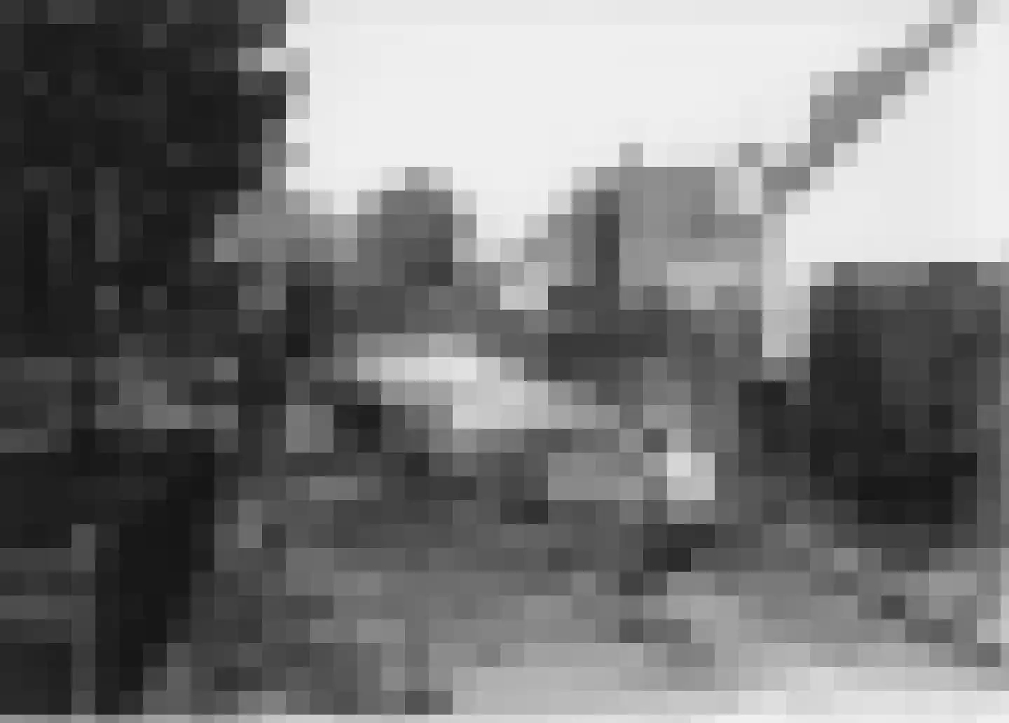 Bergweg 34 Velp thumbnail 43