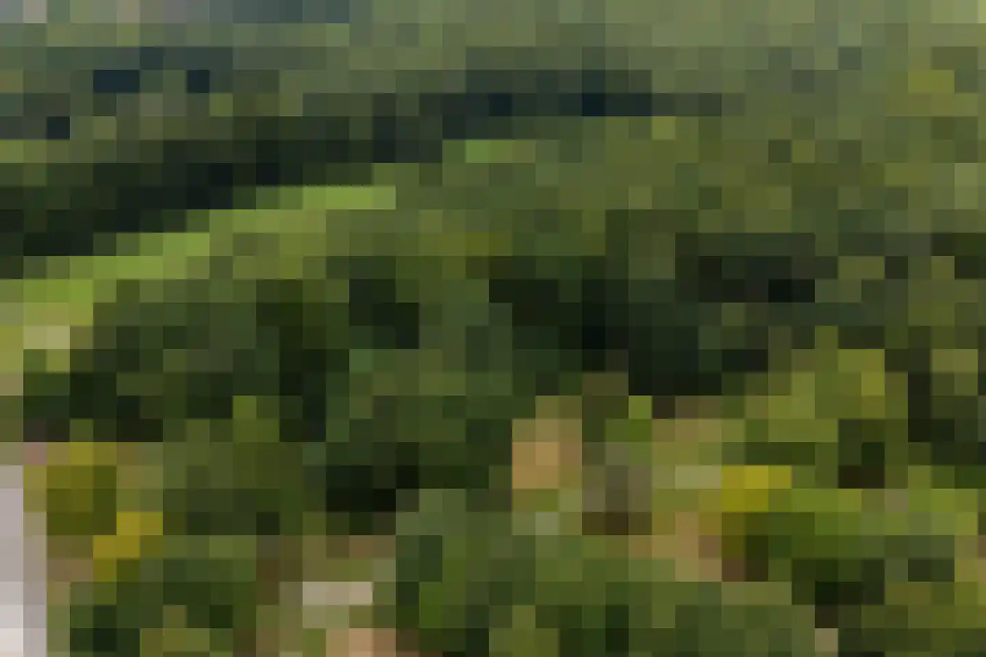 Bergweg 34 Velp thumbnail 46