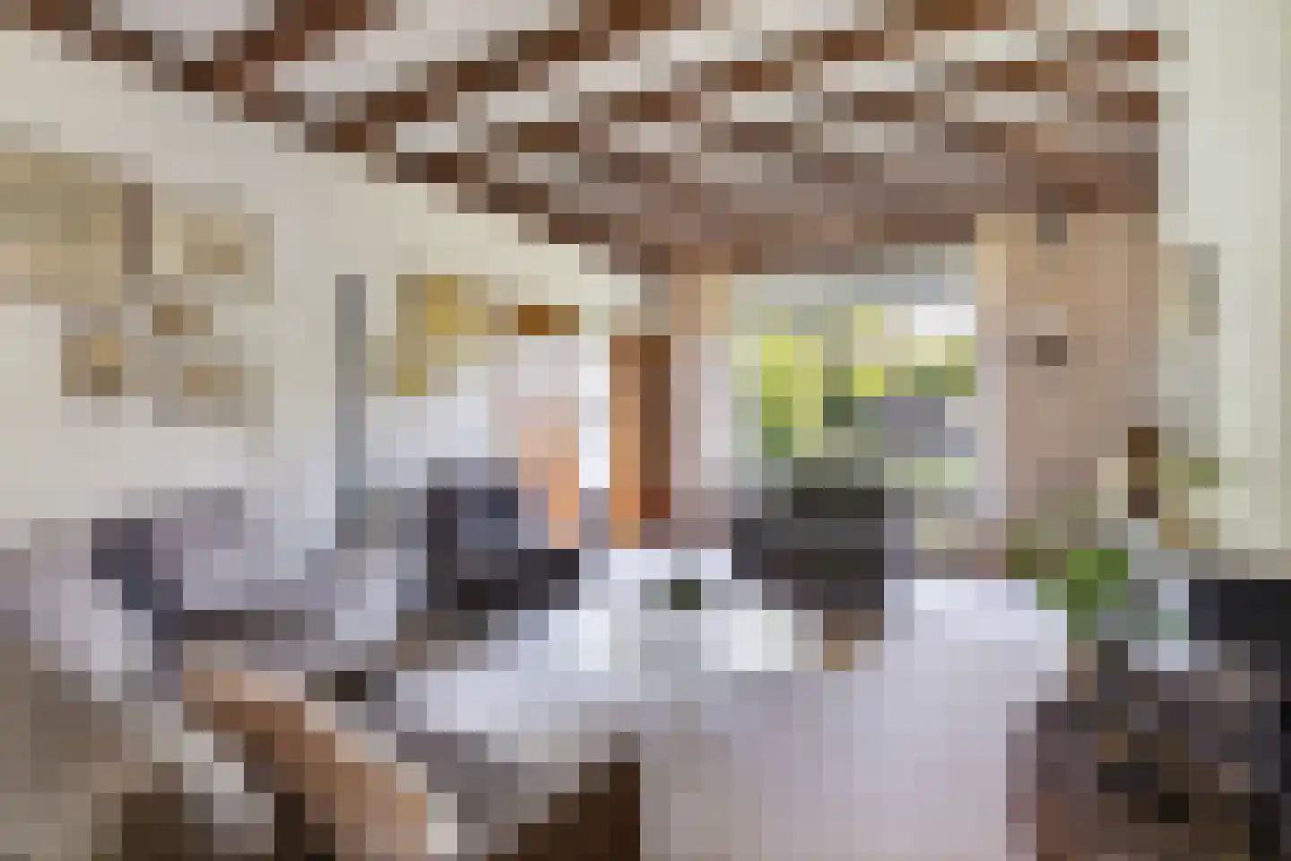 Bergweg 35 Veenendaal thumbnail 7