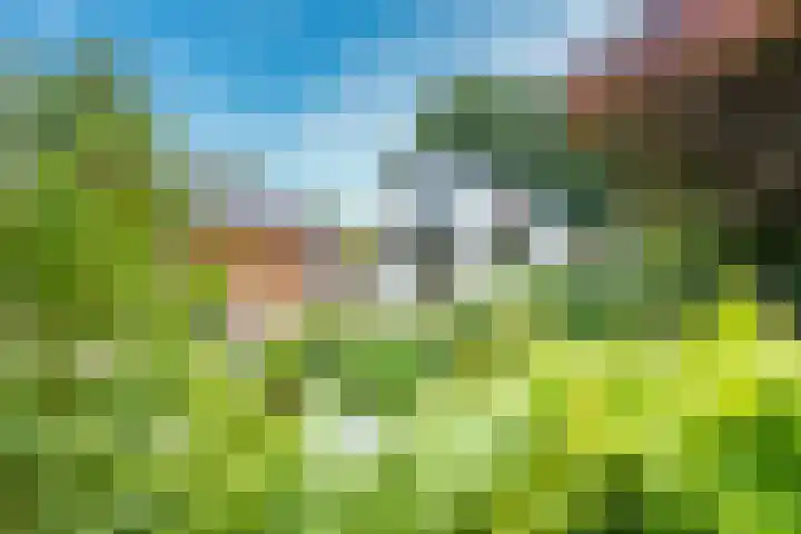 Bergweg 37 Maarn thumbnail 23