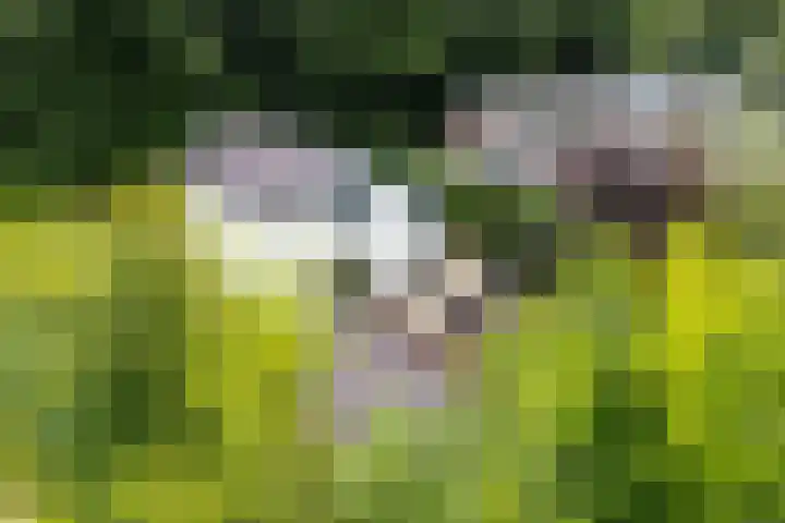 Bergweg 37 Maarn thumbnail 39