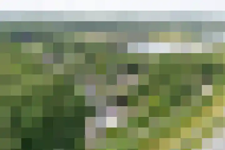 Bergweg 37 Maarn thumbnail 41