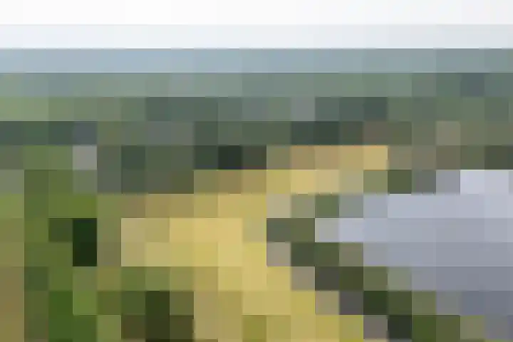 Bergweg 37 Maarn thumbnail 42