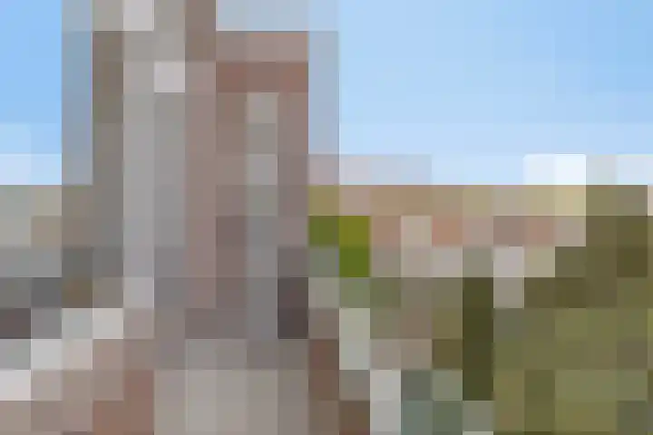 Bergweg 39 D Rotterdam thumbnail 28