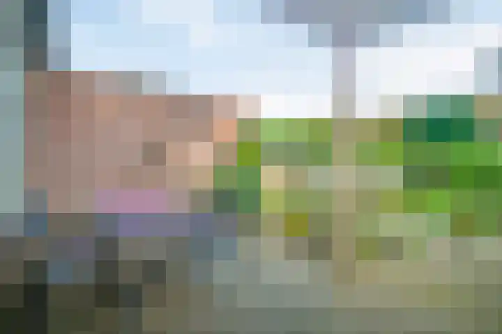 Bergweg 39 D Rotterdam thumbnail 48