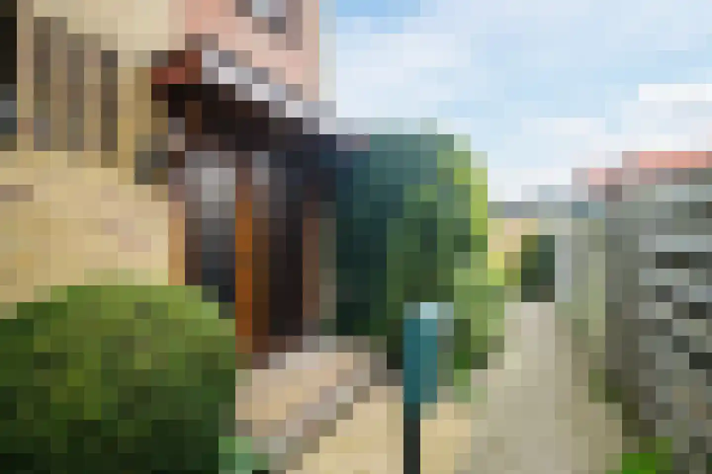 Bergweg 4 Lochem thumbnail 4