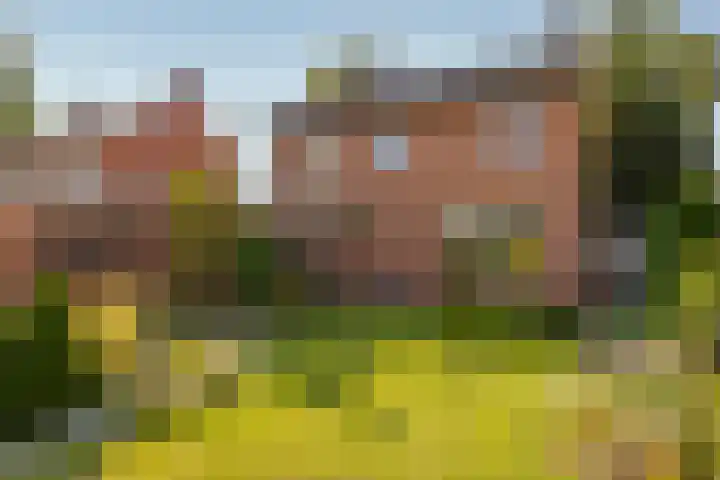 Bergweg 41 Hengelo thumbnail 31