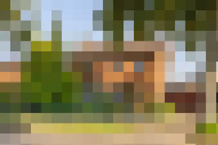 Bergweg 41 Hengelo thumbnail 33