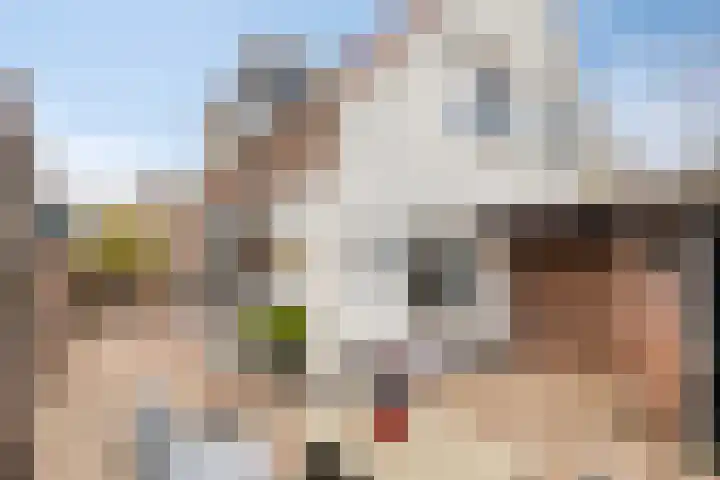Bergweg 45 Velp thumbnail 33