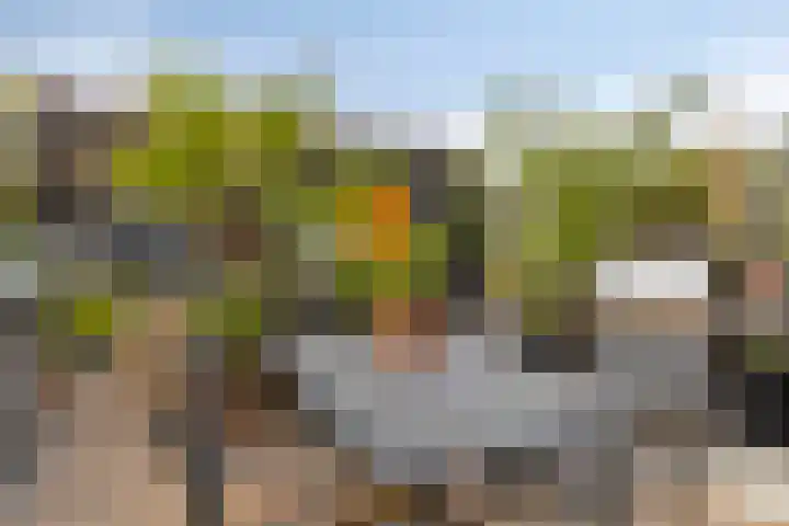 Bergweg 49 Middelharnis thumbnail 31