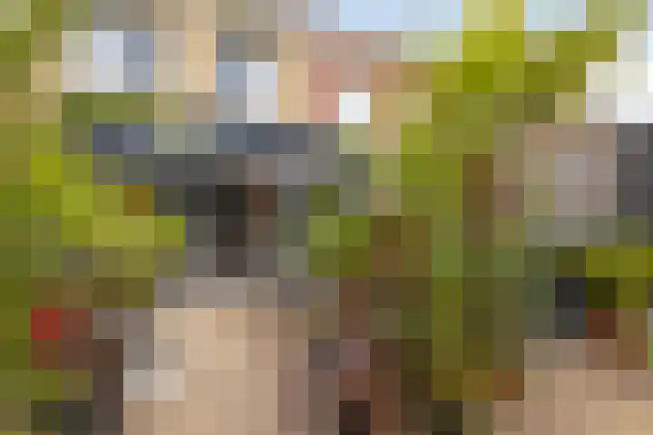 Bergweg 49 Middelharnis thumbnail 4