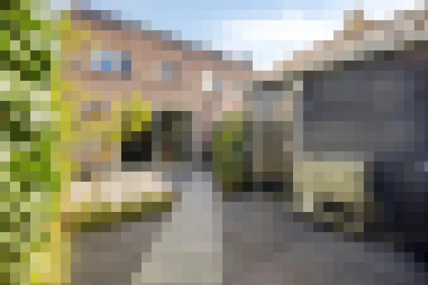 Bergweg 55 Middelharnis thumbnail 6