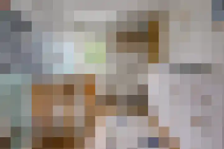 Bergweg 6 Gasselte thumbnail 23