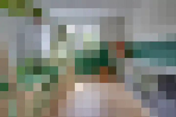 Bergweg 6 Gasselte thumbnail 25