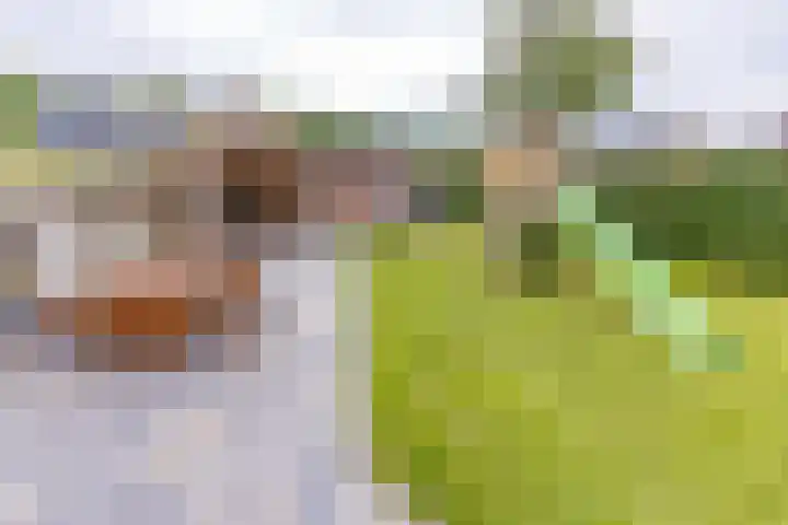Bergweg 6 Gasselte thumbnail 27