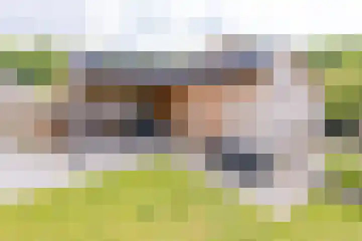 Bergweg 6 Gasselte thumbnail 28