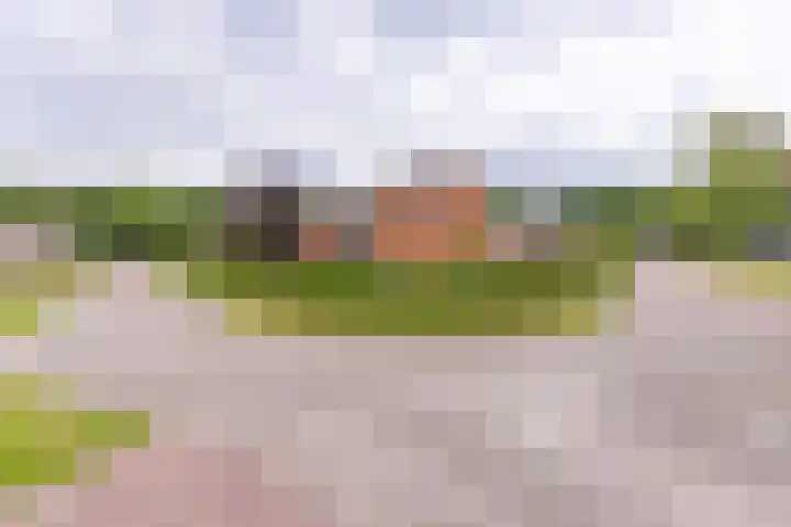 Bergweg 6 Gasselte thumbnail 31