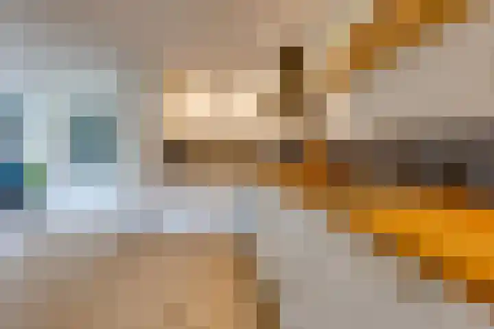Bergweg 6 Gasselte thumbnail 7