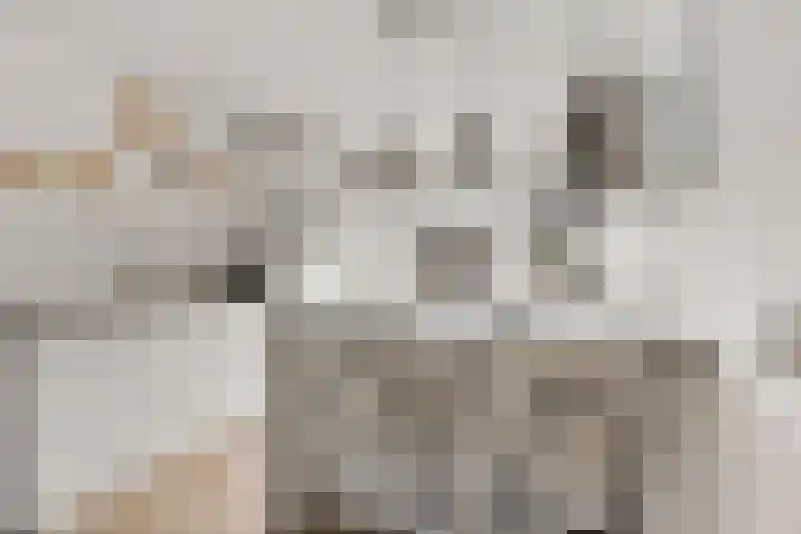 Bergweg 6 Tuk thumbnail 16