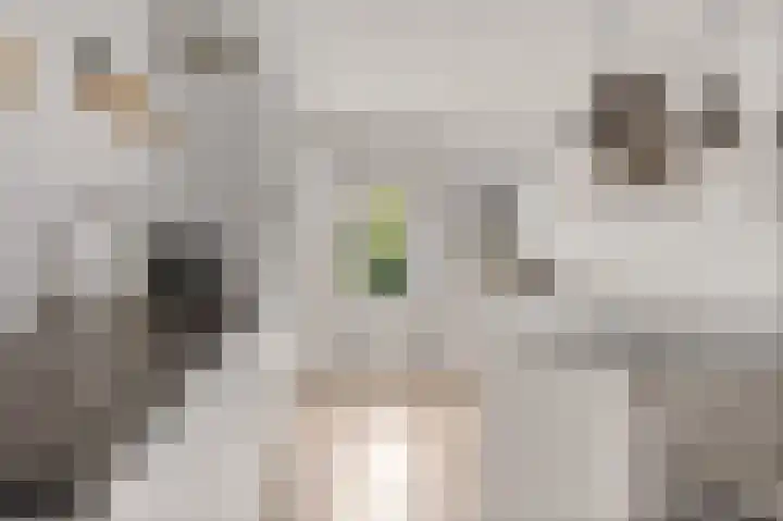 Bergweg 6 Tuk thumbnail 17