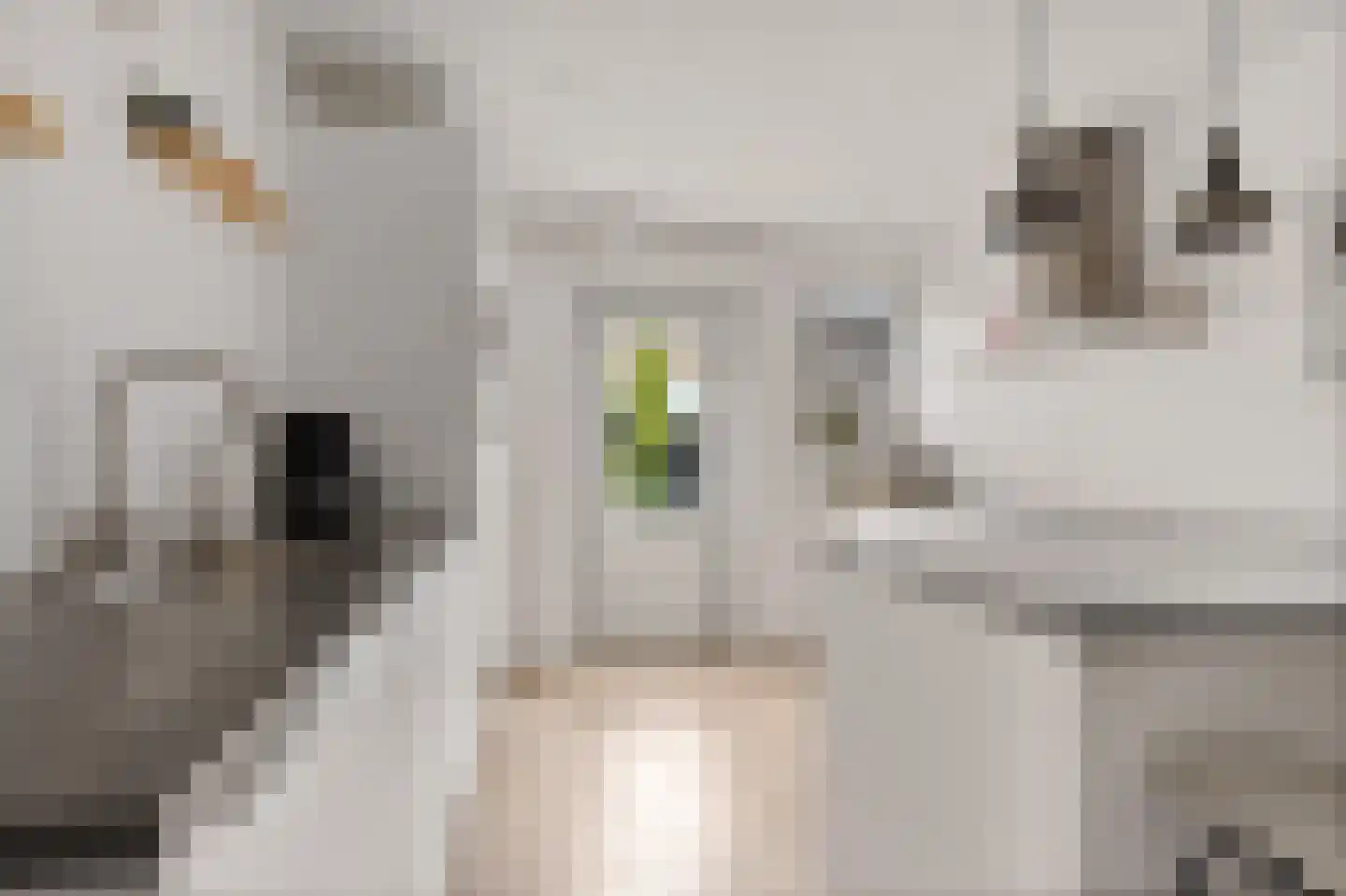 Bergweg 6 Tuk thumbnail 17
