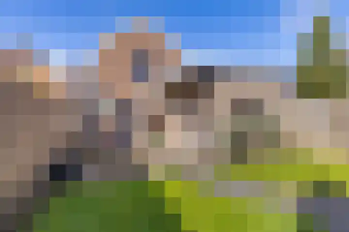 Bergweg 6 Tuk thumbnail 42