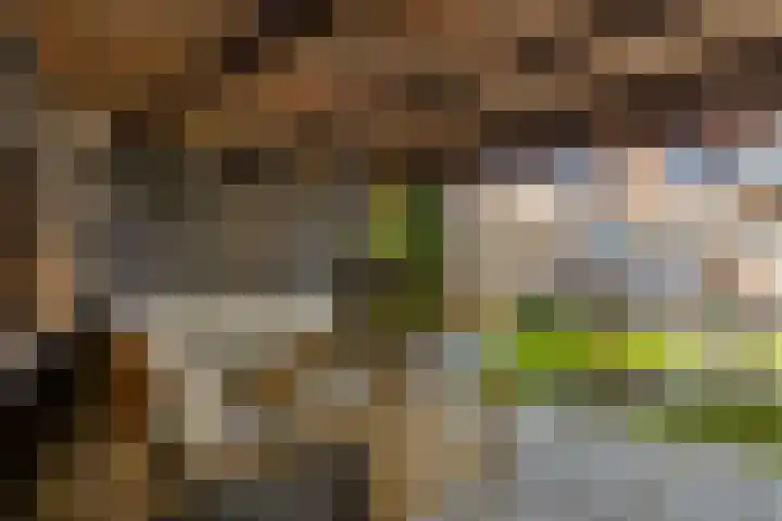 Bergweg 6 Tuk thumbnail 43