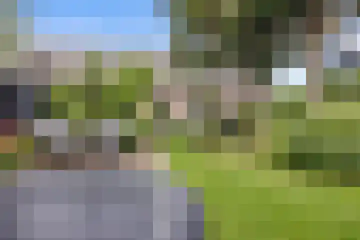 Bergweg 6 Veghel thumbnail 39