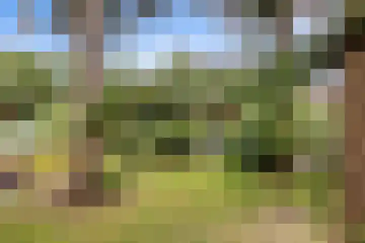 Bergweg 6 Veghel thumbnail 40
