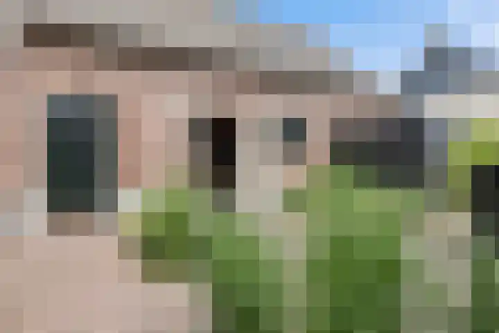 Bergweg 6 Veghel thumbnail 41