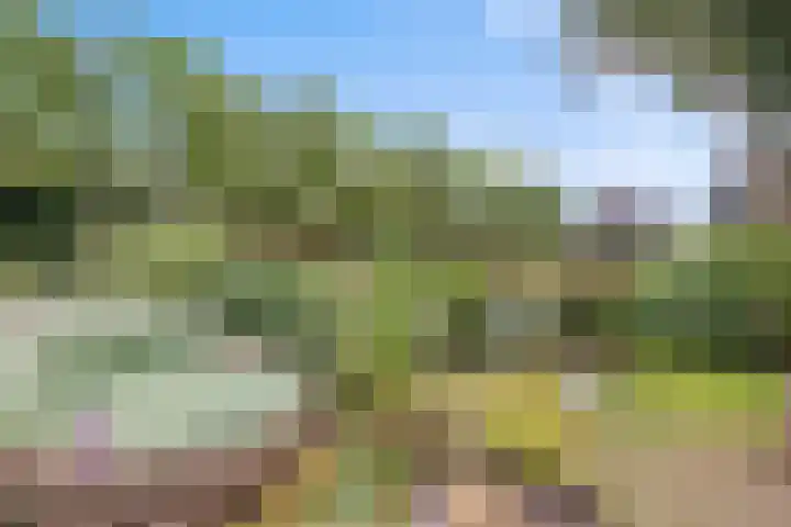 Bergweg 6 Veghel thumbnail 44