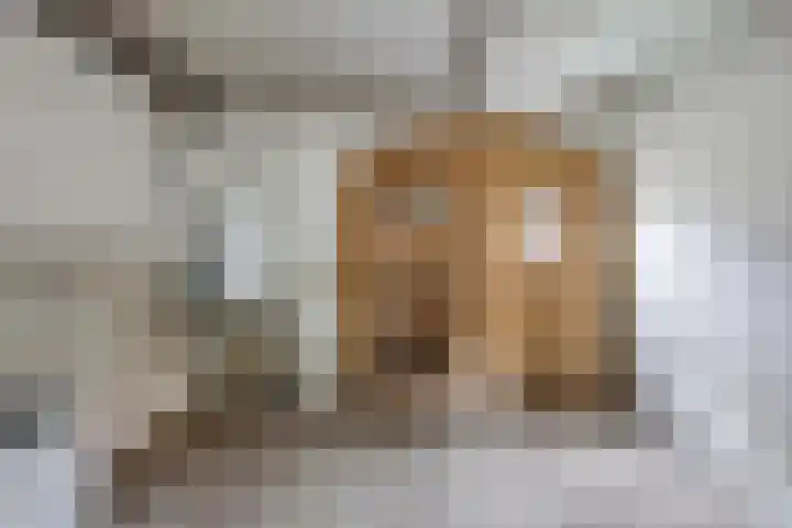 Bergweg 63 Asten thumbnail 7