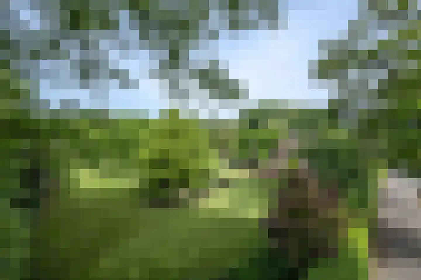 Bergweg 7 Uden thumbnail 40