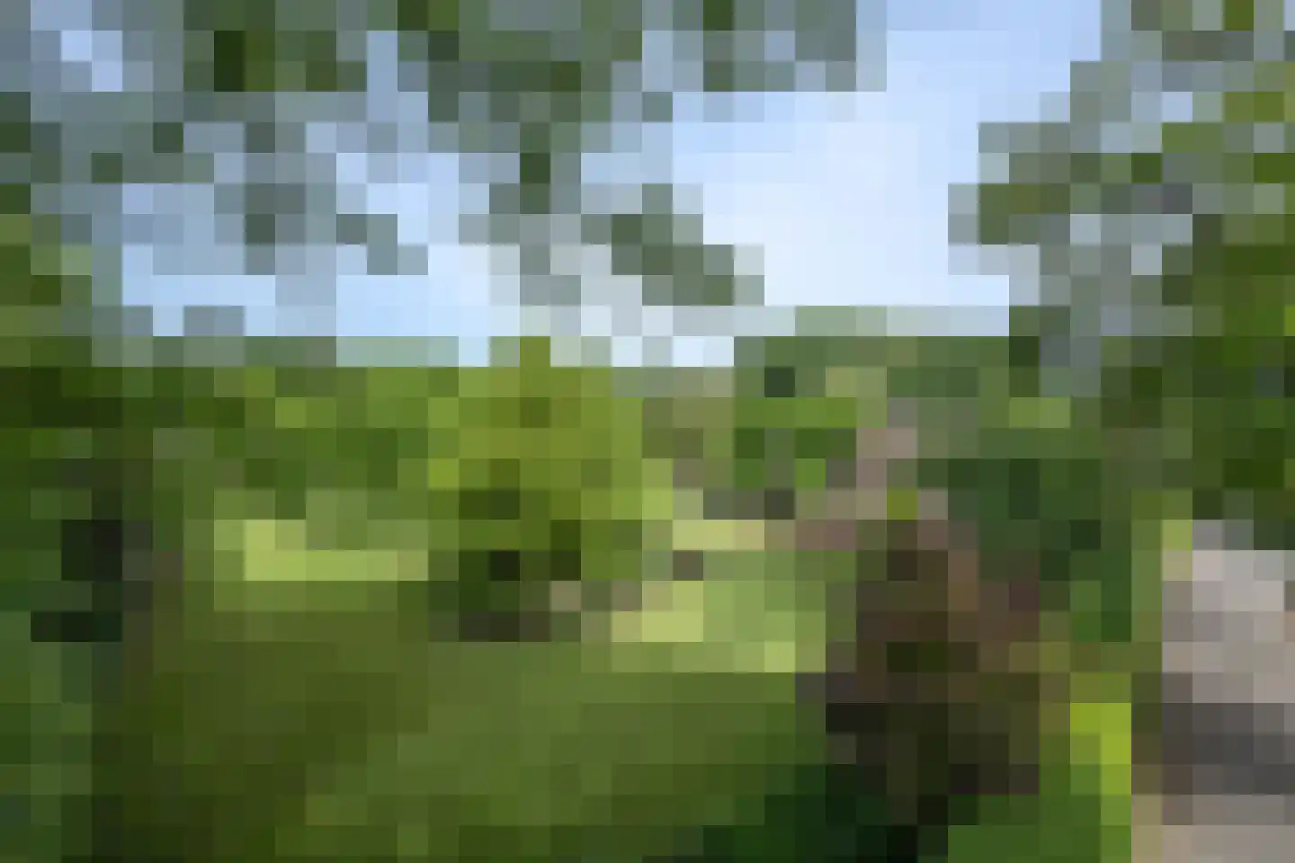 Bergweg 7 Uden thumbnail 40
