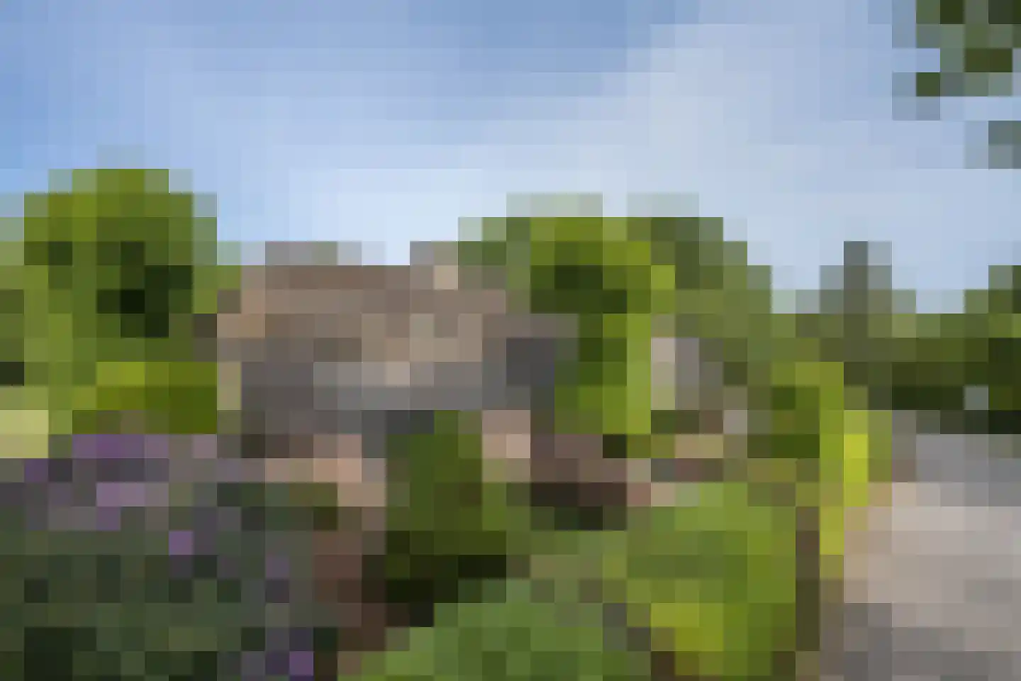 Bergweg 7 Uden thumbnail 42