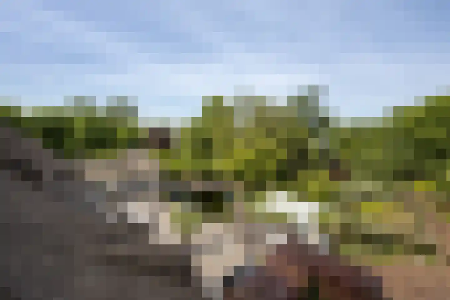 Bergweg 7 Uden thumbnail 43